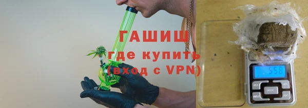 индика Вяземский